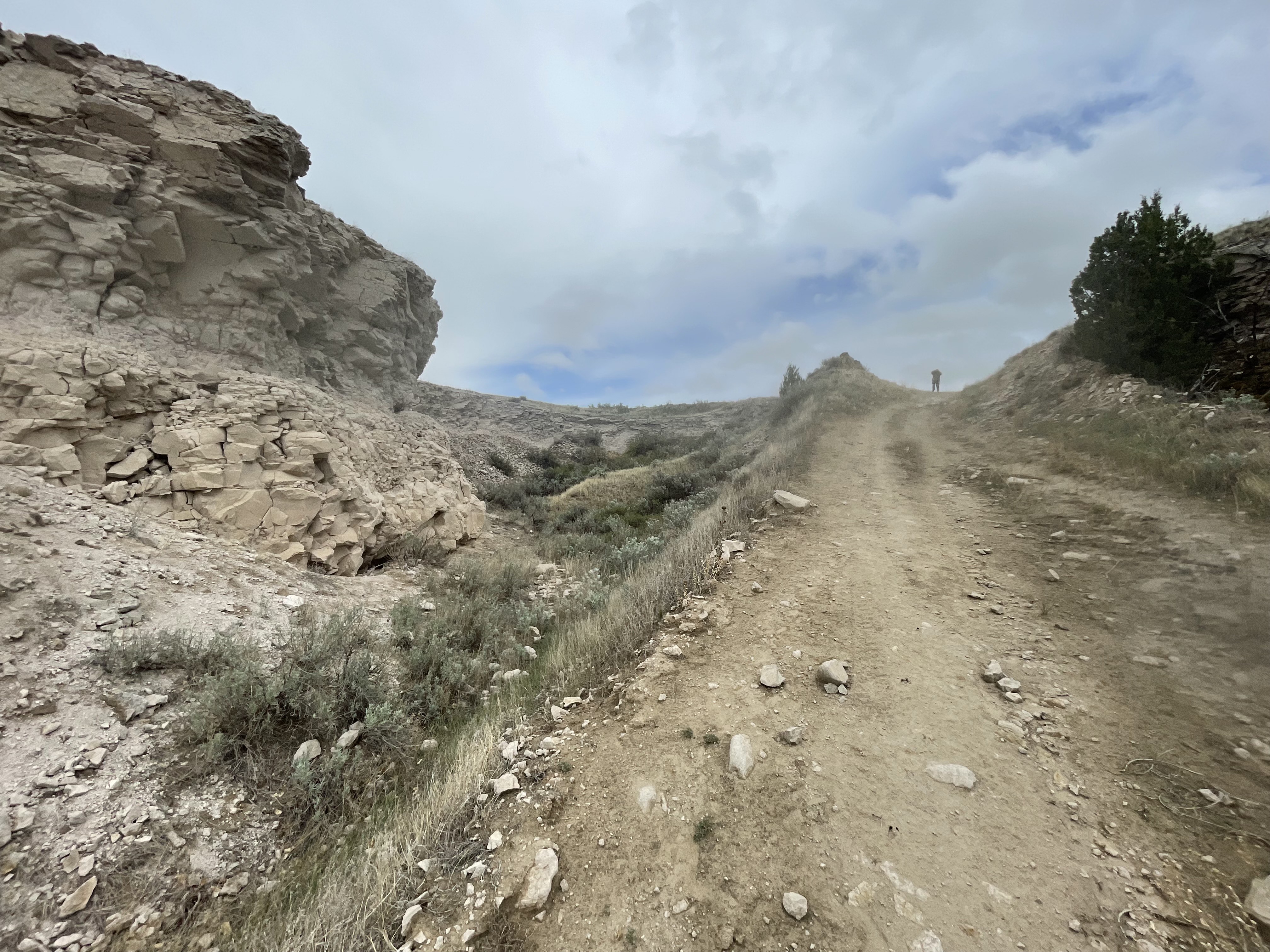 Mexican Hill